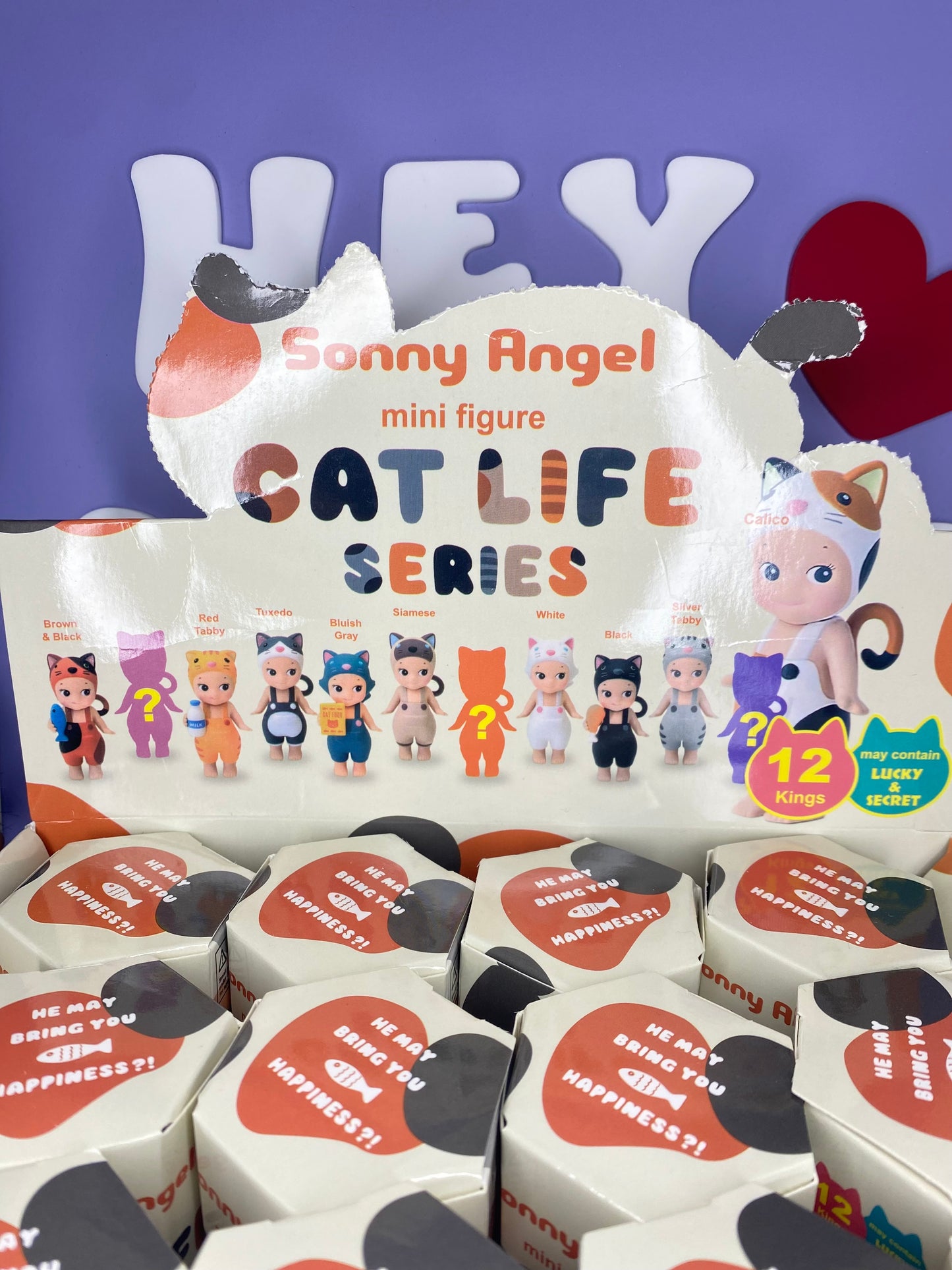 SONNY ANGELS | CAT LIFE