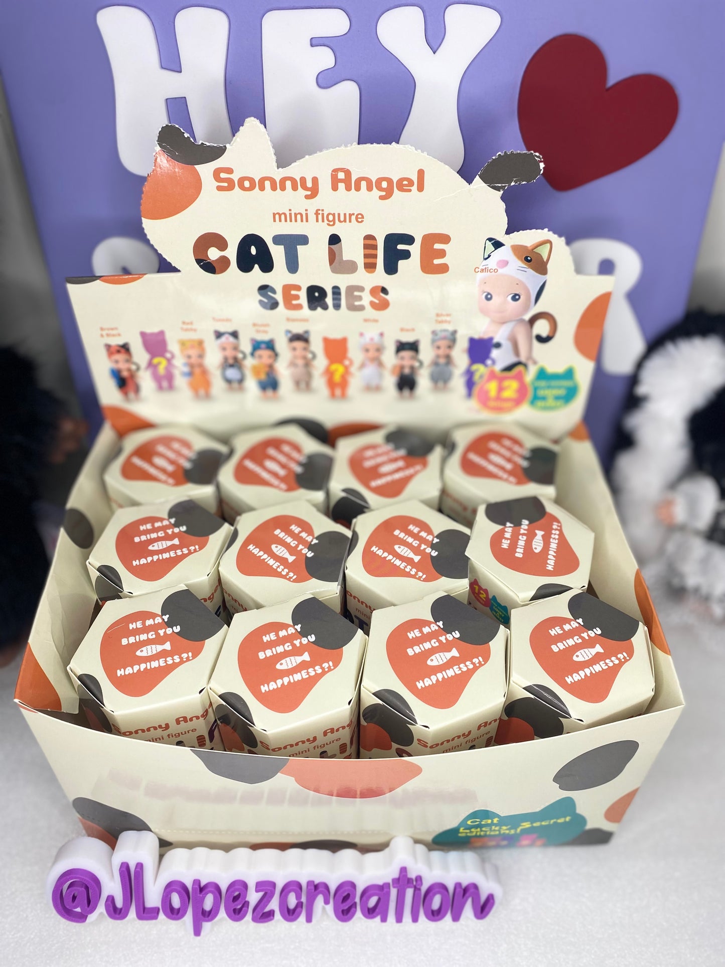 SONNY ANGELS | CAT LIFE